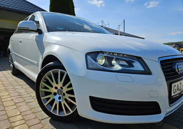 Audi A3 cena 34900 przebieg: 156000, rok produkcji 2010 z Gryfice małe 781